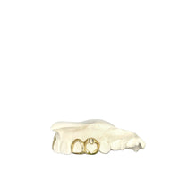 Loveit - Heart & Open Face Window - 2 Teeth (Double Cap Grillz) 10, 14, 18k Gold