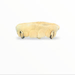 A set of double canine caps made of sterling silver, displayed against a white background with the brand name 'CAPPD' visible.