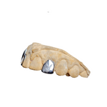 Single Silver Engraved cap (925 sterling).