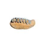 Heron Set (8 Teeth- 6 windows- Piece Silver, Gold).