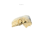 Twin cap - Cap ‘n’ Strip 925 Sterling Silver, 10-18k Solid gold w/ Vermeil options.