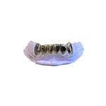 6ixSet (6 Teeth Piece Silver, Gold).