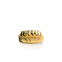6ixSet (6 Teeth Piece Silver, Gold).